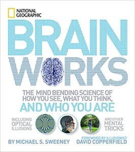 Brainworks: The Mind-bending Science of How You See, What You Think, and Who You Are 