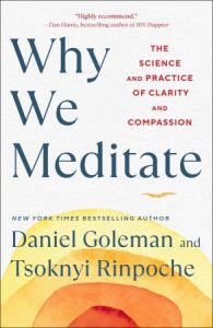 Why We Meditate: The Science and Practice of Clarity and Compassion (2022)