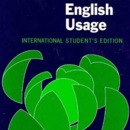 Practical English Usage International Student's Edition