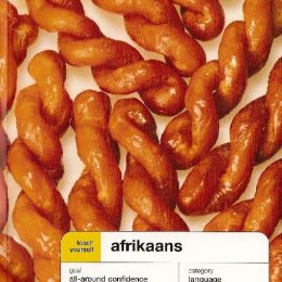 Teach Yourself Afrikaans