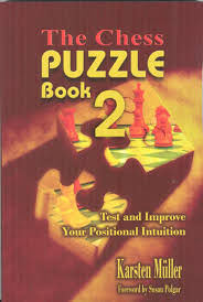 Download: The ChessCafe Puzzle Book 2: Test and Improve Your Positional Intuition