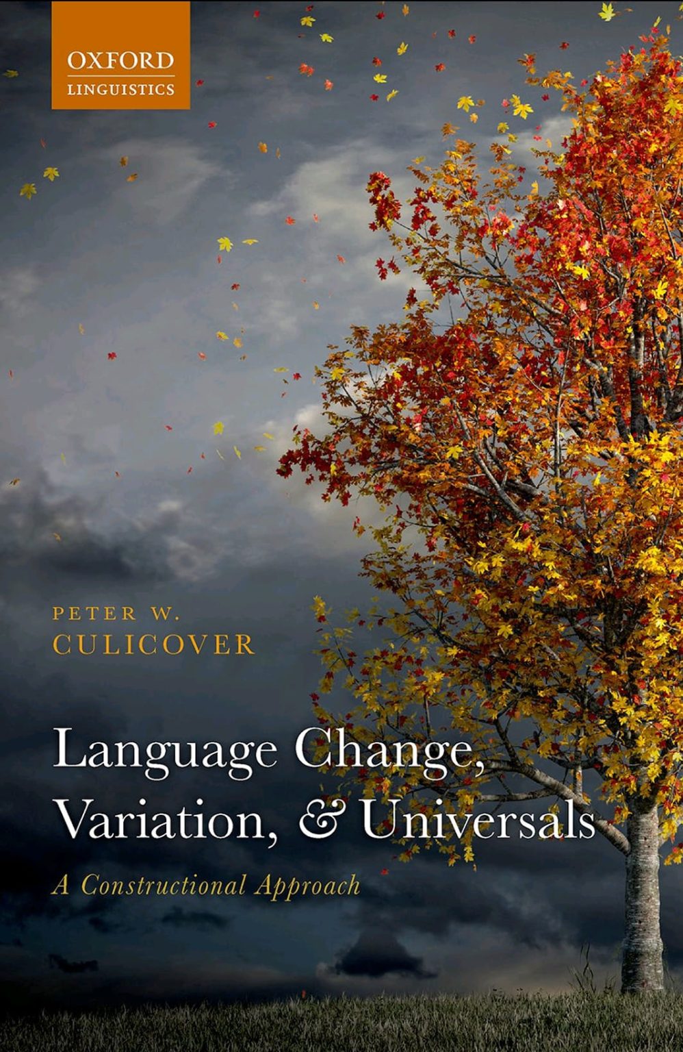 language-change-variation-and-universals-a-constructional-approach